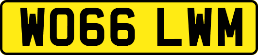 WO66LWM