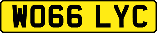 WO66LYC