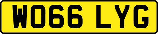 WO66LYG