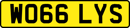 WO66LYS