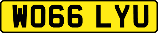 WO66LYU
