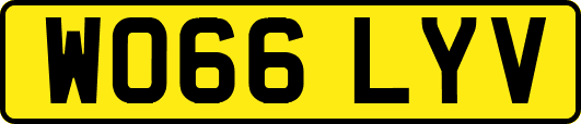WO66LYV
