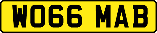 WO66MAB