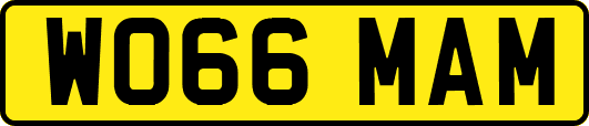 WO66MAM