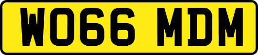 WO66MDM
