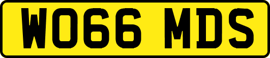 WO66MDS