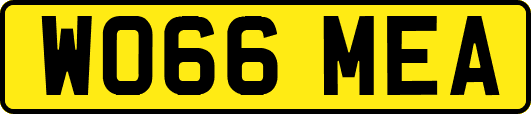 WO66MEA