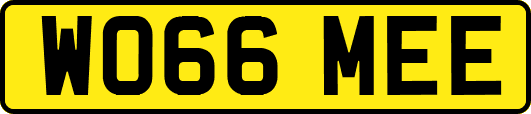 WO66MEE