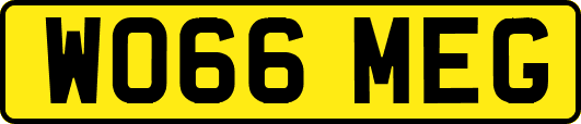 WO66MEG