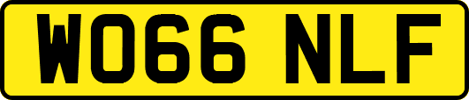 WO66NLF