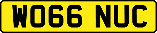 WO66NUC