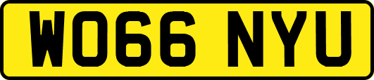 WO66NYU