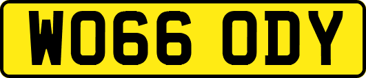 WO66ODY