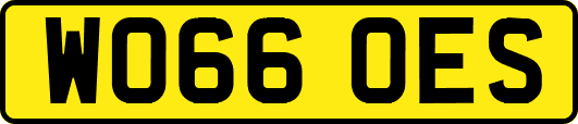 WO66OES
