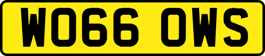 WO66OWS