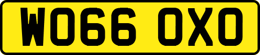 WO66OXO