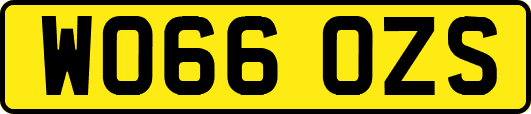 WO66OZS