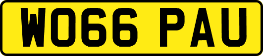 WO66PAU