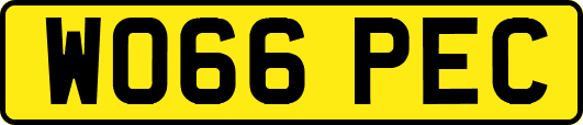 WO66PEC