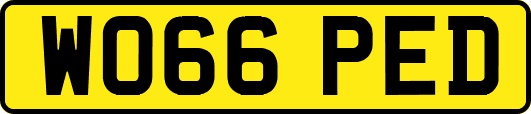 WO66PED