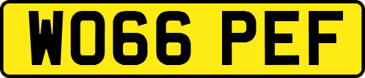 WO66PEF