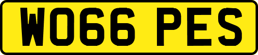WO66PES