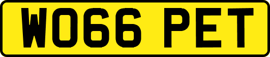 WO66PET