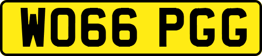 WO66PGG