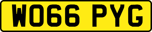 WO66PYG