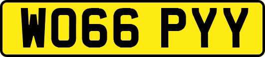 WO66PYY