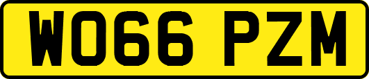 WO66PZM