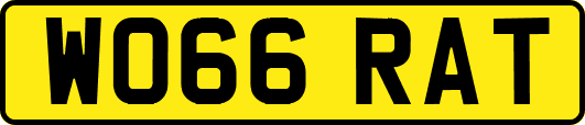 WO66RAT