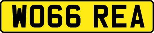 WO66REA