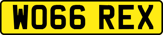 WO66REX