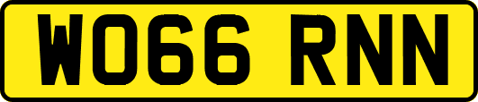 WO66RNN