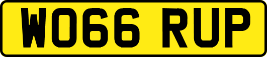 WO66RUP
