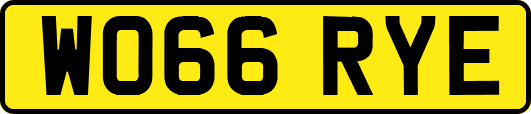 WO66RYE