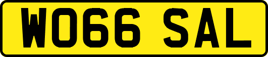 WO66SAL