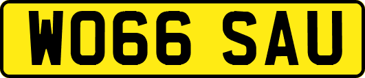 WO66SAU