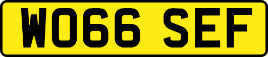 WO66SEF