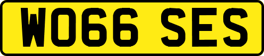 WO66SES