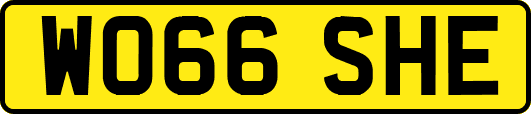 WO66SHE