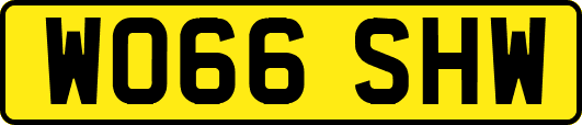 WO66SHW