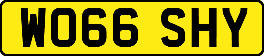 WO66SHY