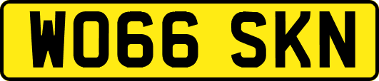 WO66SKN