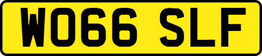 WO66SLF
