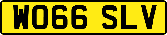 WO66SLV