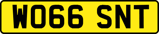 WO66SNT