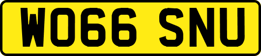 WO66SNU