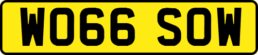 WO66SOW